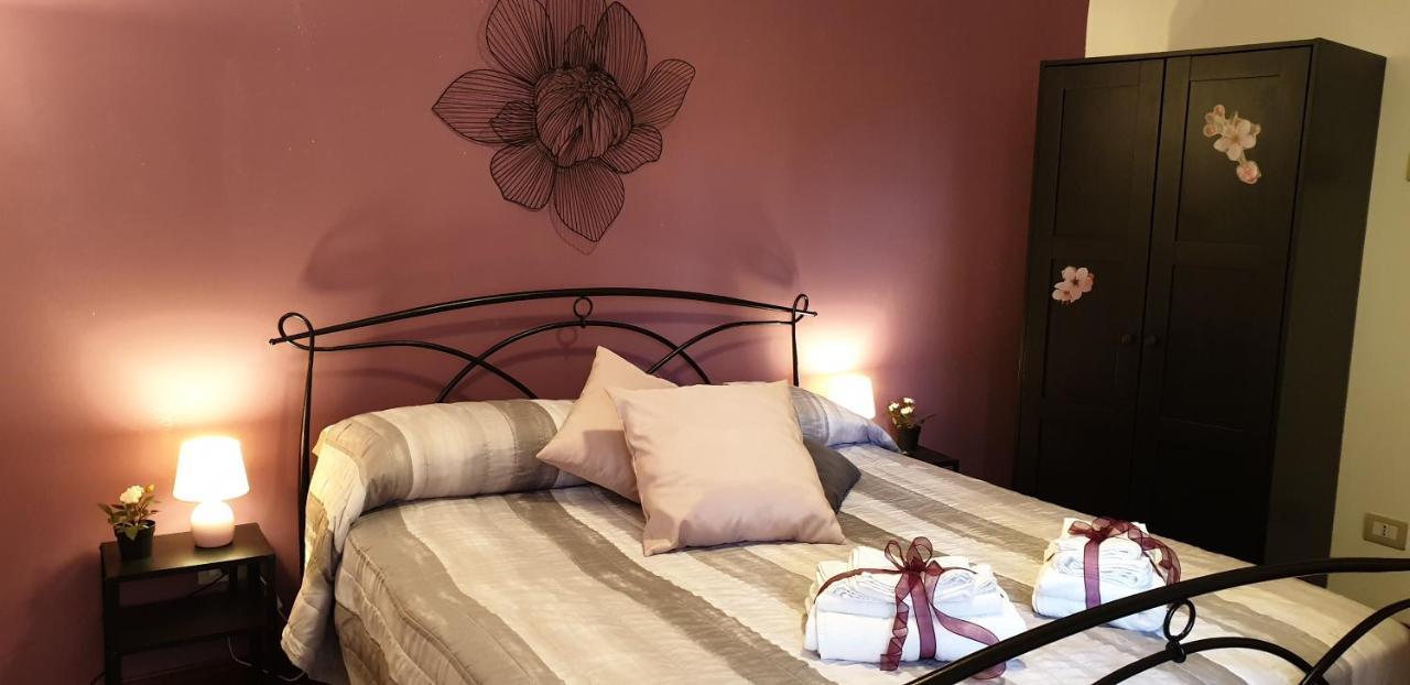 Saint Peter Vatican City Large Apartment Barbara Casa Vacanza روما المظهر الخارجي الصورة